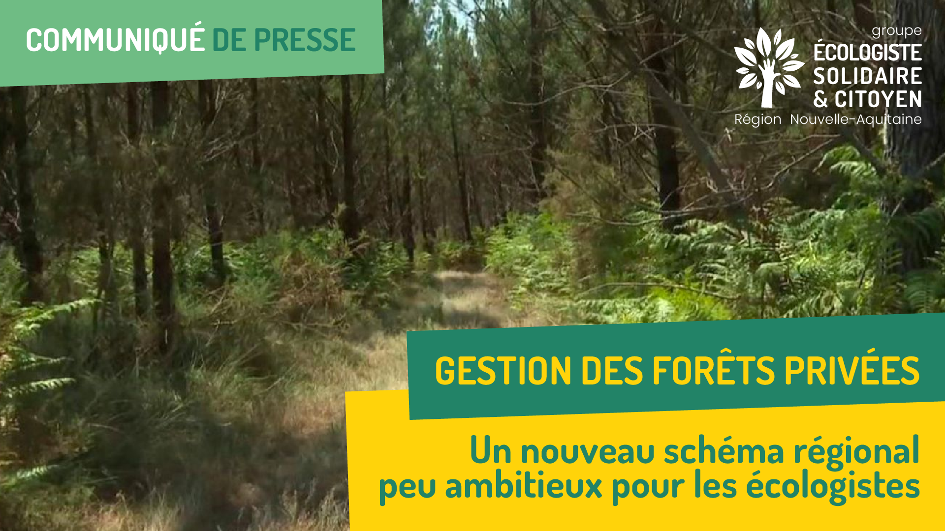 Gestion des forêts privées un nouveau schéma régional peu ambitieux